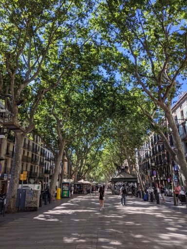 rambla-barcelona-trees